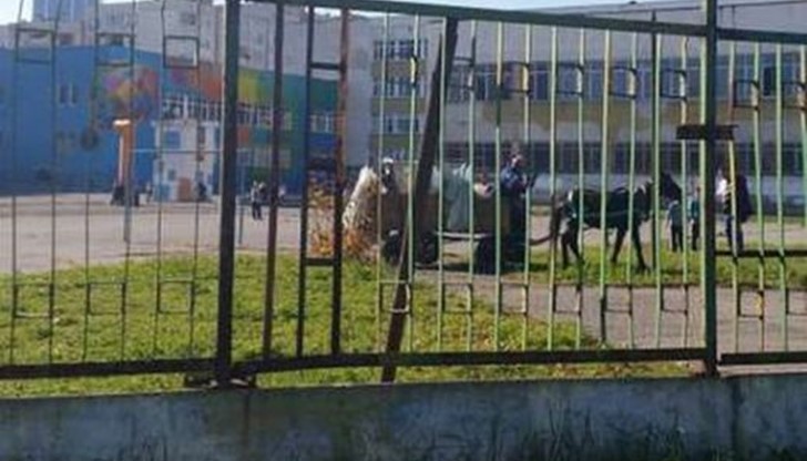 Роми нахлуха с каручка в двора на 68 СОУ "Акад. Н. Обрешков" в столицата