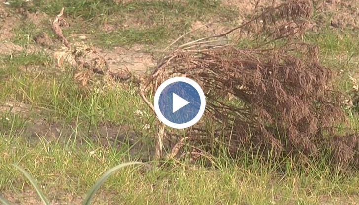 За изграждането на системата от етажната собственост са платили около 3600 лева