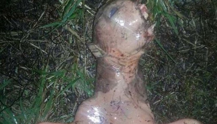 Тази снимка предизвика много предположения в социалната мрежа