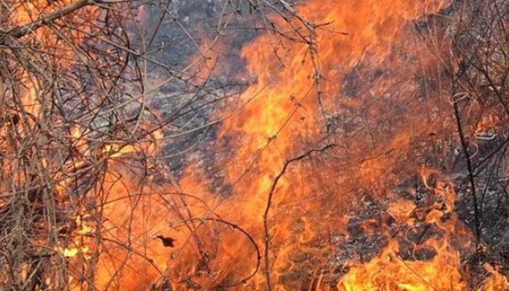 Вследствие на силния вятър тази нощ, огънят в района на селата Врабците и Люляците в Габровска област се е възобновил