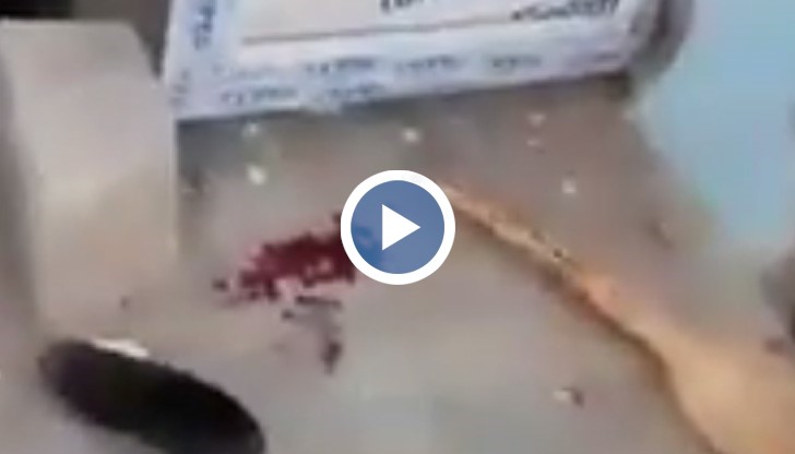 Участниците в движението са набирали съмишленици в Баку и други региони на републиката