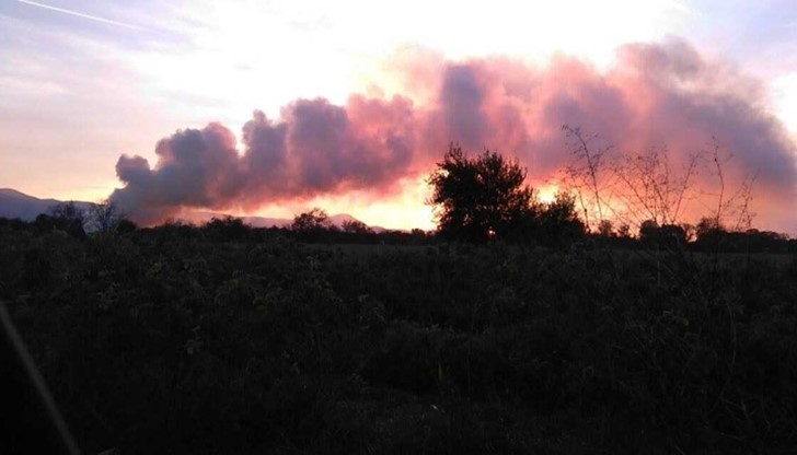 Гасенето на пожара, възникнал в местността „Тодорчетата“ продължи 10 часа