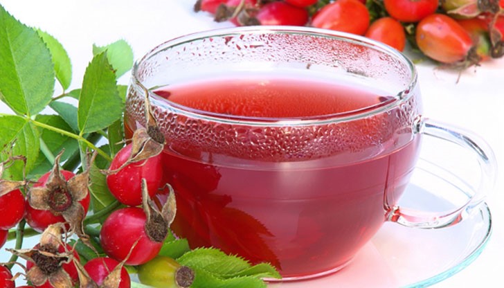 Ако пиете отварата системно може да си спестите много пари за лекарства Ако пиете отварата системно може да си спестите много пари за лекарства