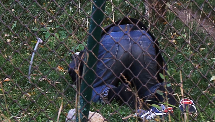 Все пак араби има!
