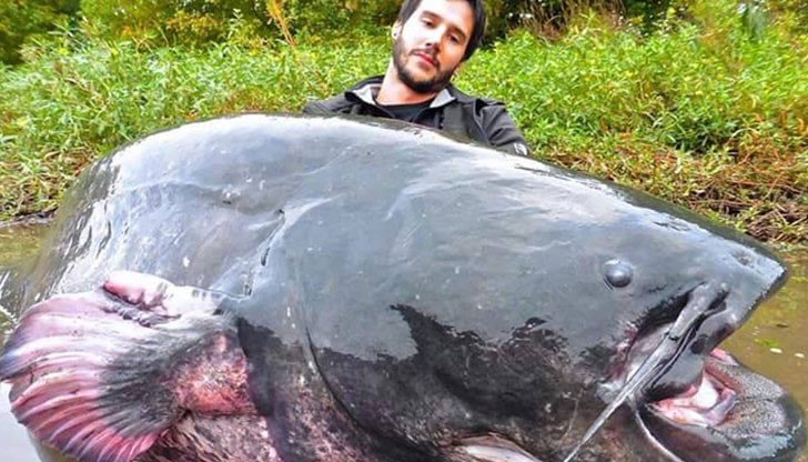 Французин улови сом с гигантски размери
