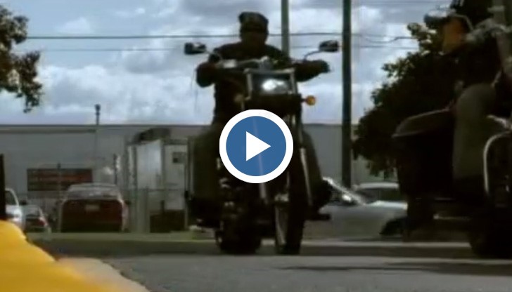 Те са бунтарското лице на българската емиграция