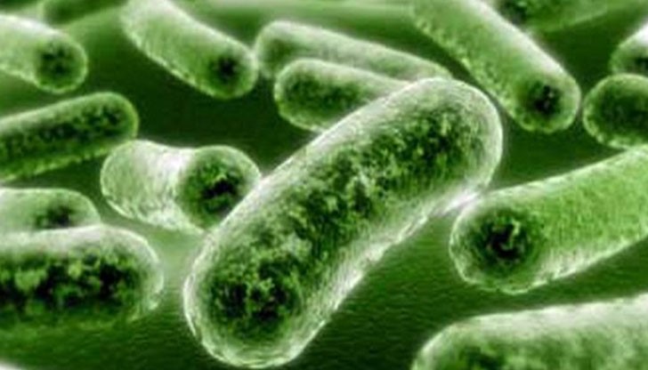 Mycoplasma genitalium е открита преди повече от 30 години