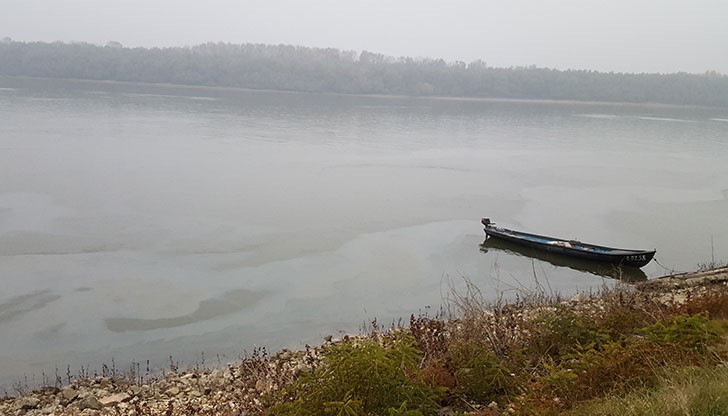 ВНИМАНИЕ ТОКСИЧНОСТ!