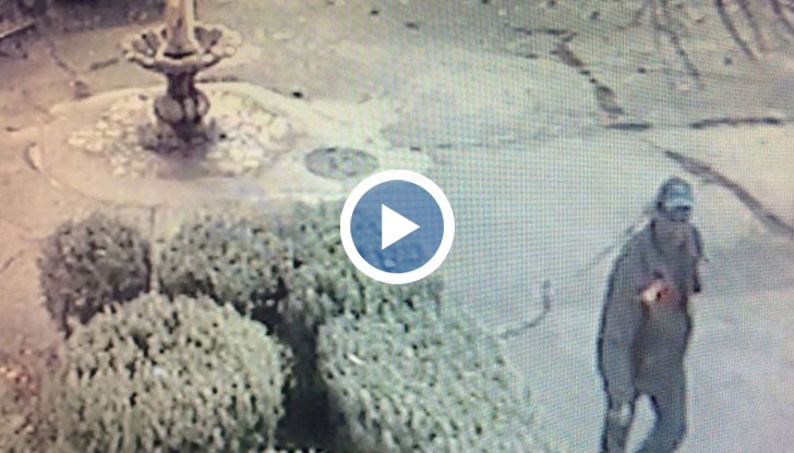 Крадецът, който е записан на камерите за видеонаблюдение, бил облечен като водопроводчик