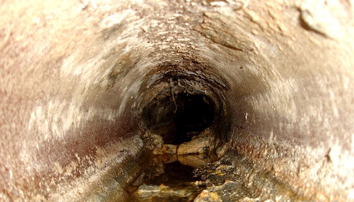 Хвърлят телата на обикновените бойци