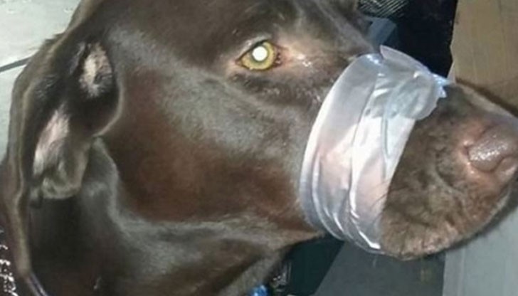 Снимката предизвика полицейско разследване в САЩ