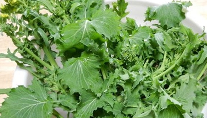 Клиторът е типичен продукт на галисийската кухня Клиторът е типичен продукт на галисийската кухня