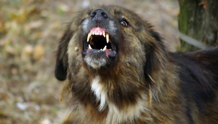 Детето е закарано в болница спешно и оперирано в неврохирургично отделение Детето е закарано в болница спешно и оперирано в неврохирургично отделение