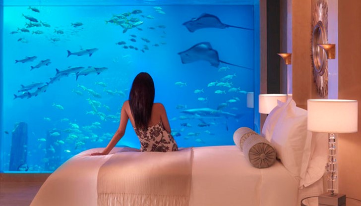 Кое е нещото, което кара хората да платят тази висока цена?