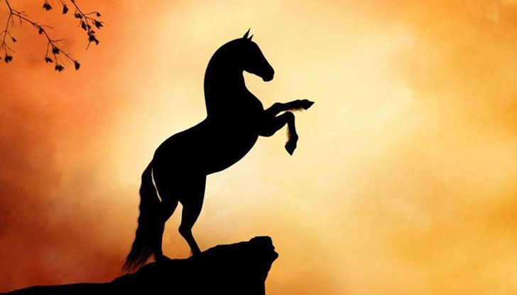 <p>Нашата сила е в умовете ни. Веднъж открита, за нея няма граници - тя оформя характера, направлява действията, предоставя възможностите. И променя живота ни към добро.</p>
