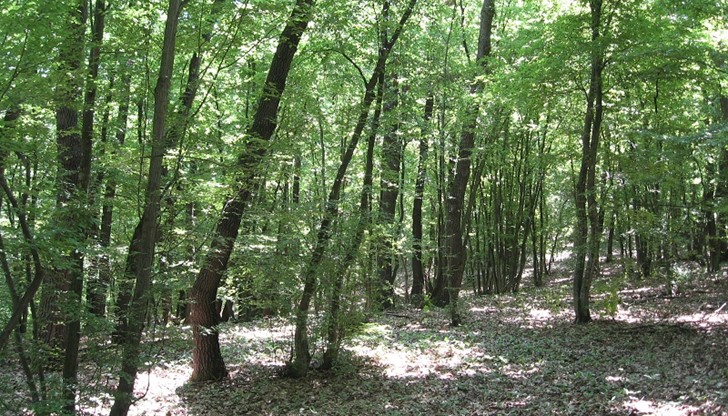 Резерватът  „Бели Лом“ попада в границите на областите Русе и Разград