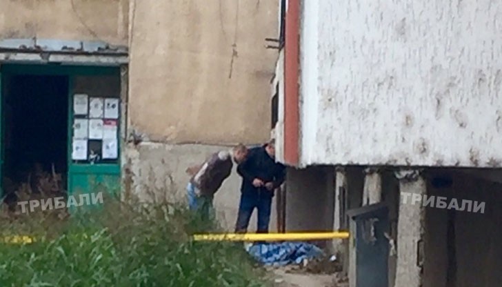 Възрастен мъж се е самоубил, като скочил от жилищния си блок в ж.к. „Дъбника“ във Враца