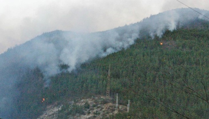 Най-тиражираната версия е, че огънят е пламнал от китайски фенер Най-тиражираната версия е, че огънят е пламнал от китайски фенер