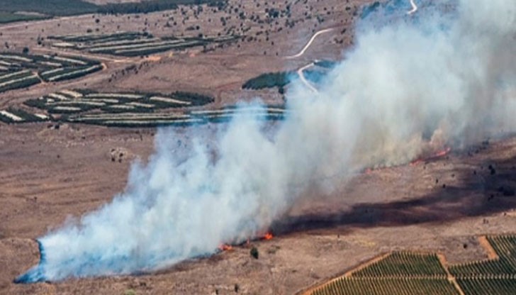 Идеята за анализа се родила спонтанно - на съвместен обяд Идеята за анализа се родила спонтанно - на съвместен обяд