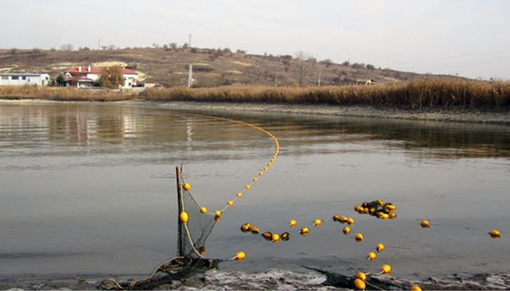 Над 4.3 млн. лева са преведени за инвестиции в сектор Рибарство Над 4.3 млн. лева са преведени за инвестиции в сектор Рибарство