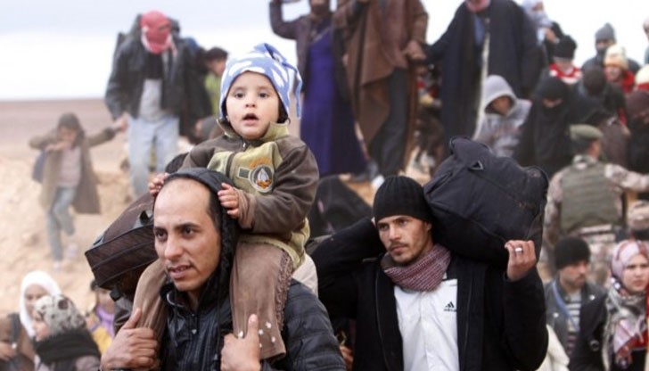 По-добре куче в Германия, отколкото човек в България По-добре куче в Германия, отколкото човек в България