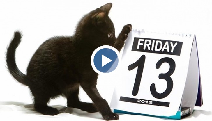 Тази година лошият късмет, който за много хора носи петък 13-и, се припокрива със Световния ден на добротата