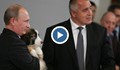 Путин си направи календар с кучето на Бойко