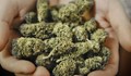 Македония легализира марихуаната