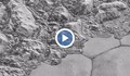 НАСА показа детайлни снимки на Плутон