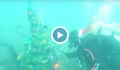 Водолази сложиха елха на дъното на морето