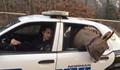 "Арестувано" магаре се вози в патрулка