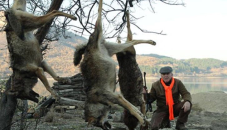 В България жертва на лов стават както животните, представляващи „дивеч“, така и много други