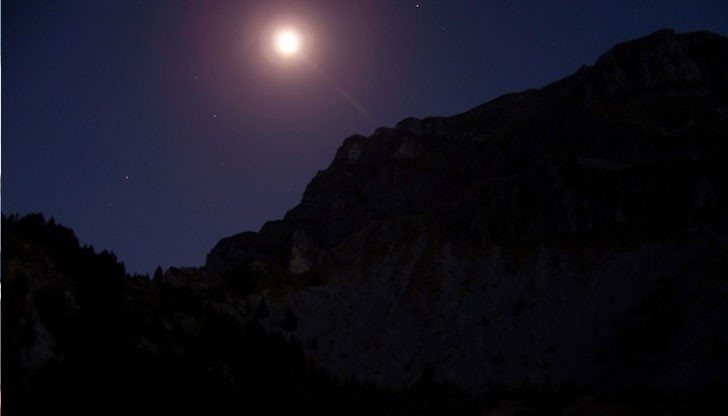 Жените не трябва да работят, за да не се разболеят децата им