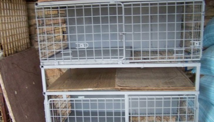 Проверки на европроекти за отглеждане на пъдпъдъци и зайци показали, че масово животни няма