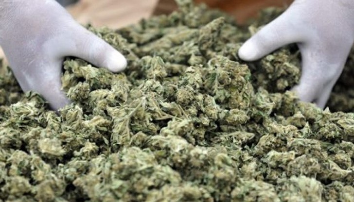 До злополучната полицейска проверка младежите са били с чисти криминални и съдебни досиета