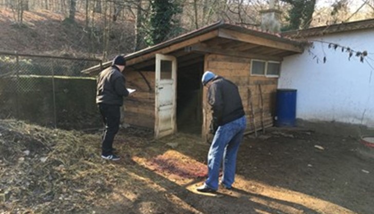 Вандали разбили катинара на кошарката и ударили ножа на животинчетата