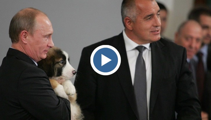 Бъфи е един от любимците на Путин
