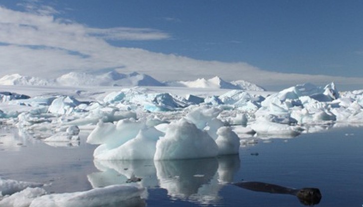 Учените отбелязват, че на 30 декември на Северния полюс е било толкова топло, колкото в Чикаго