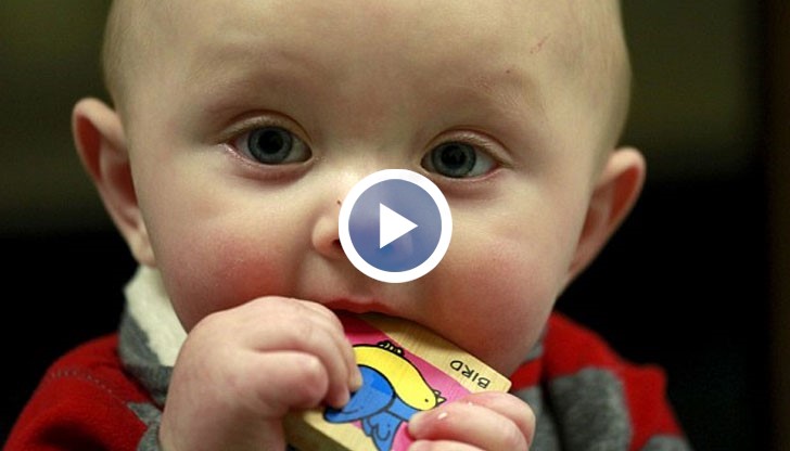 Следващите редове не са за хора със слаби нерви