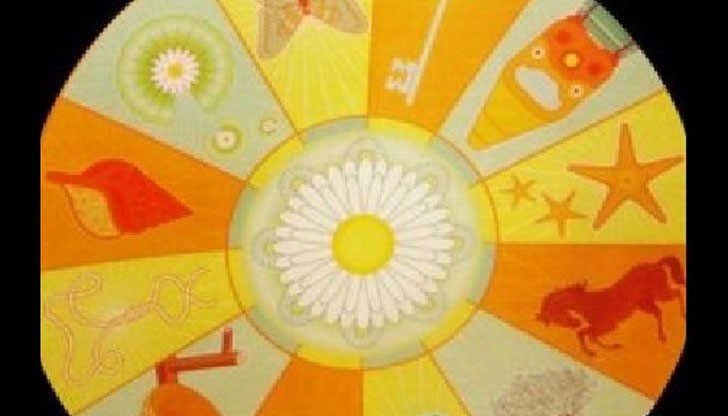 Кръгът на Делмар е направен от 12 символа Кръгът на Делмар е направен от 12 символа