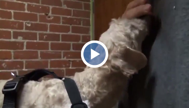 Бъдете хуманни!