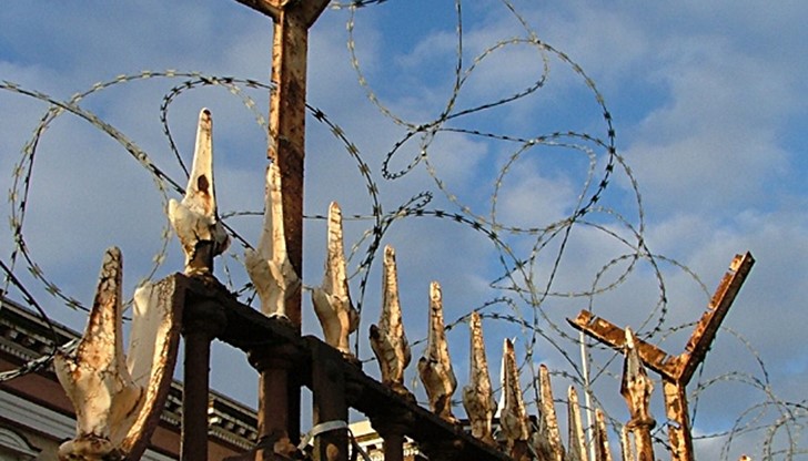 Двама мъже са осъдени на затвор за телефонна измама в Русе, съобщиха от прокуратурата Двама мъже са осъдени на затвор за телефонна измама в Русе, съобщиха от прокуратурата