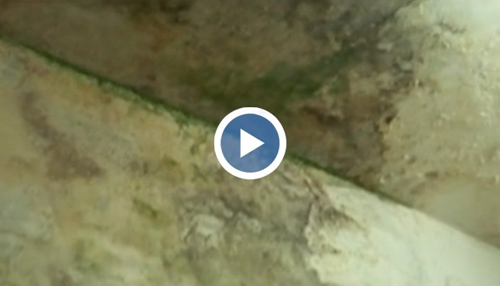 Нечии майки и бащи са захвърлени тук като непотребни вещи