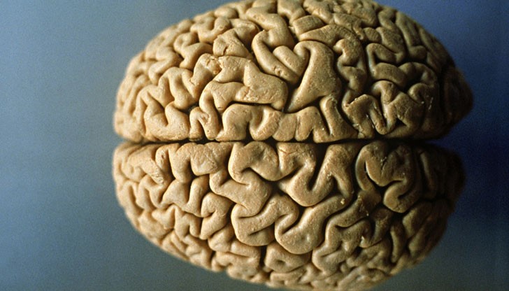 Този тест ще ви помогне да разберете в каква степен вашият тип мислене е мъжки или женски Този тест ще ви помогне да разберете в каква степен вашият тип мислене е мъжки или женски