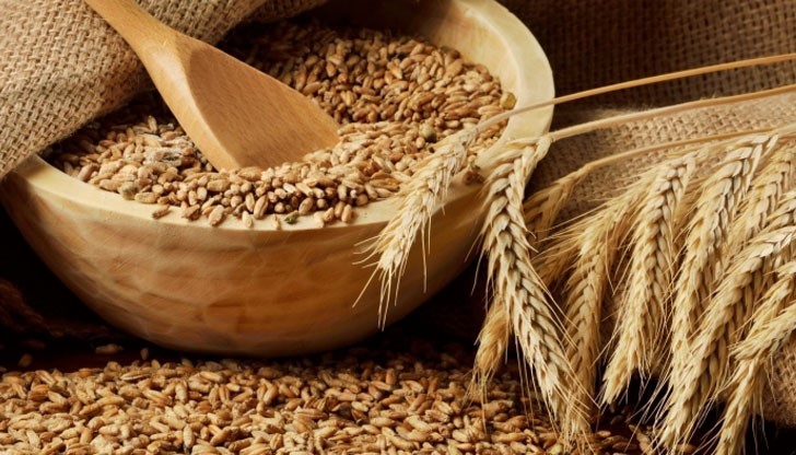 А кризата в нашата селскостопанска наука се  задълбочава