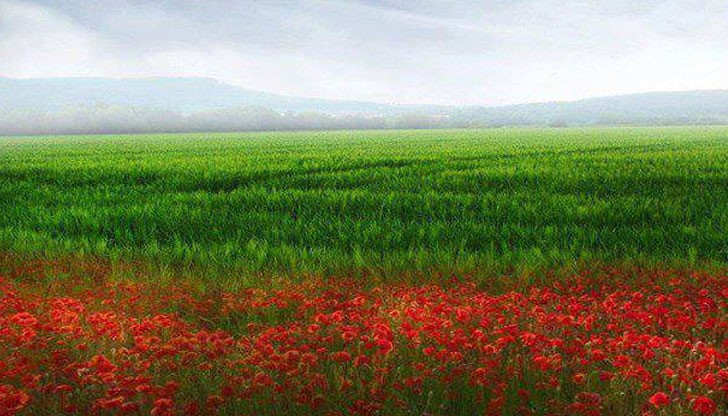 Когато няма думата "Родина" и когато се премахва единствения клас, в който се учи "Роден край" - тогава се свиква Съветът за национална сигурност". Когато няма думата "Родина" и когато се премахва единствения клас, в който се учи "Роден край" - тогава се свиква Съветът за национална сигурност".