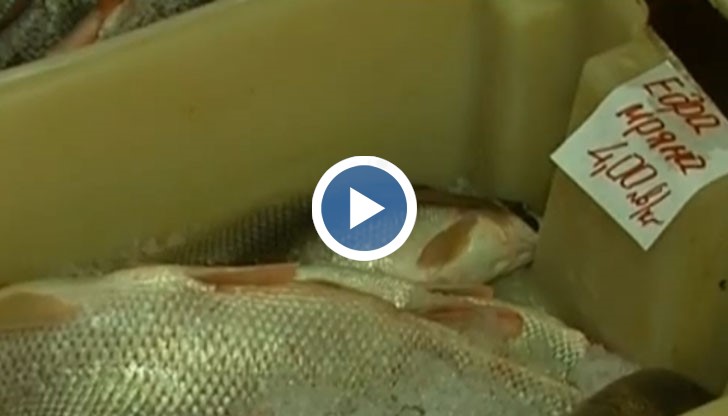 Лови ли се риба край бреговете на Русе