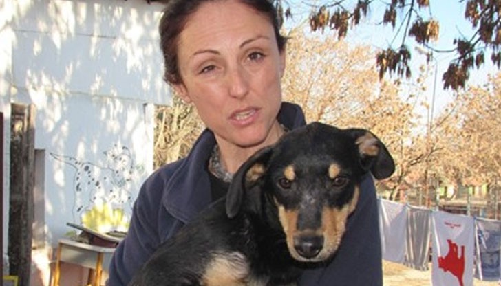 Джесика е доволна в ръцете на шефката на кучешкия приют