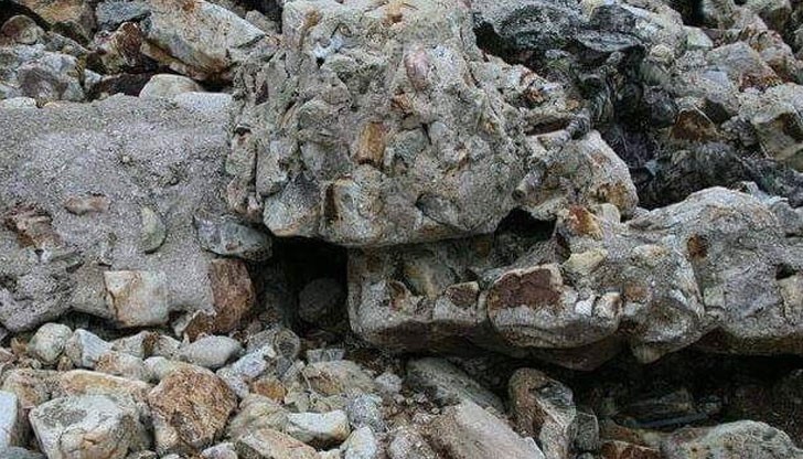 Убедени сме, че и вие го виждате!