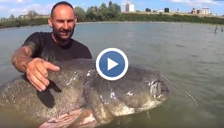 38-годишният мъж каза, че никога до сега не е виждал нищо подобно